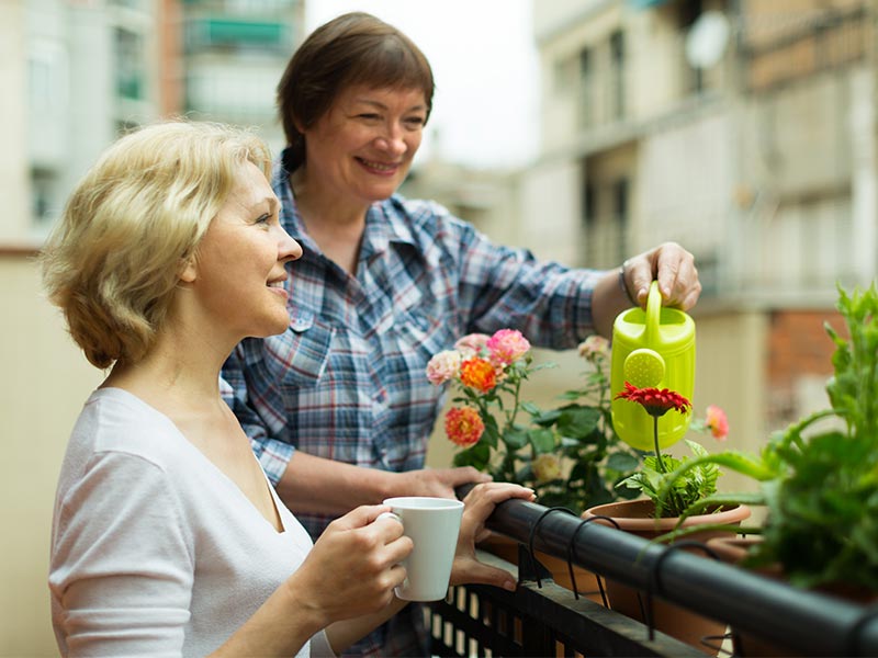 Zwei Frauen pflegen Pflanzen auf einem Balkon eine gießt Blumen die andere hält eine Tasse