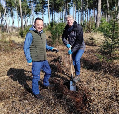 Zwei Personen pflanzen gemeinsam einen jungen Baum bei einer Aufforstungsaktion im Wald