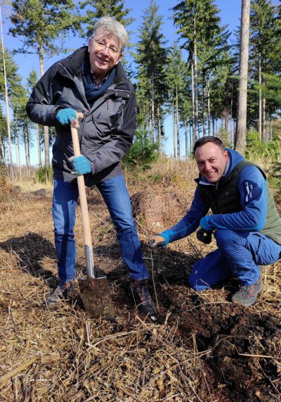 Ein Mann mit Spaten und sein Kollege pflanzen bei sonnigem Wetter gemeinsam einen jungen Baum im Wald