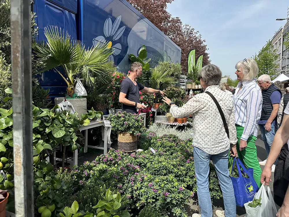 Ein Verkäufer berät Kundinnen vor einem blauen Verkaufsfahrzeug an einem vielfältigen Gartenmarkt mit vielen Pflanzen